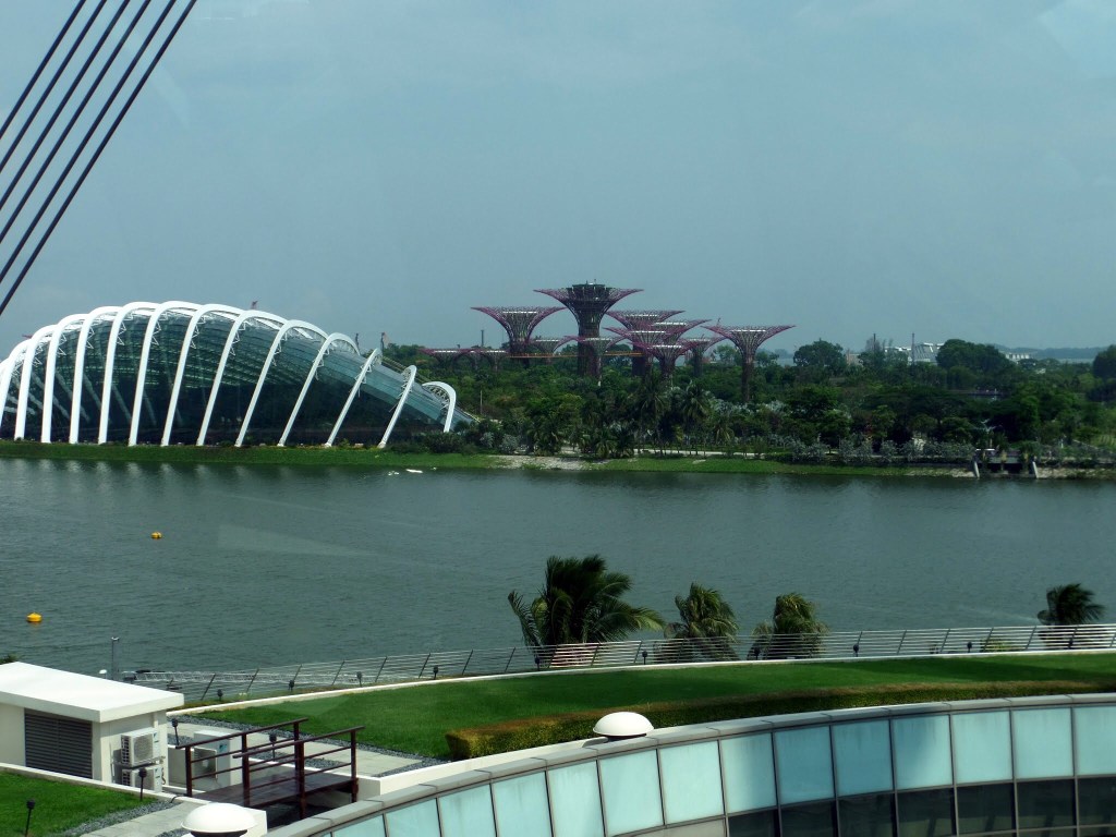 View of Supertree Grove from The Singapore Flyer