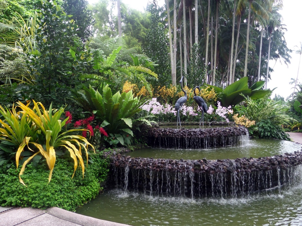 National Orchid Garden, Singapore 
