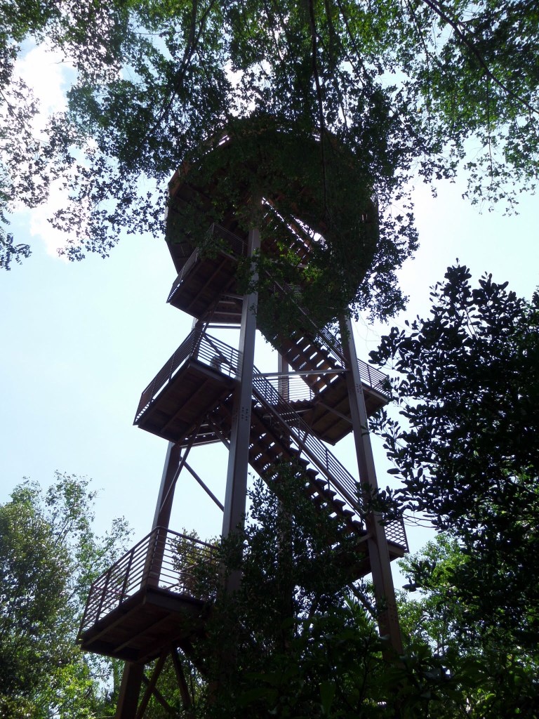 Chek Lava Boardwalk birdwatching tower 