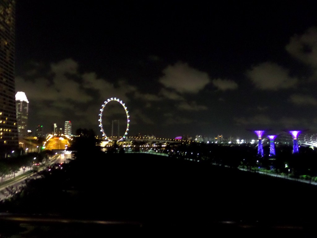 The Singapore Flyer