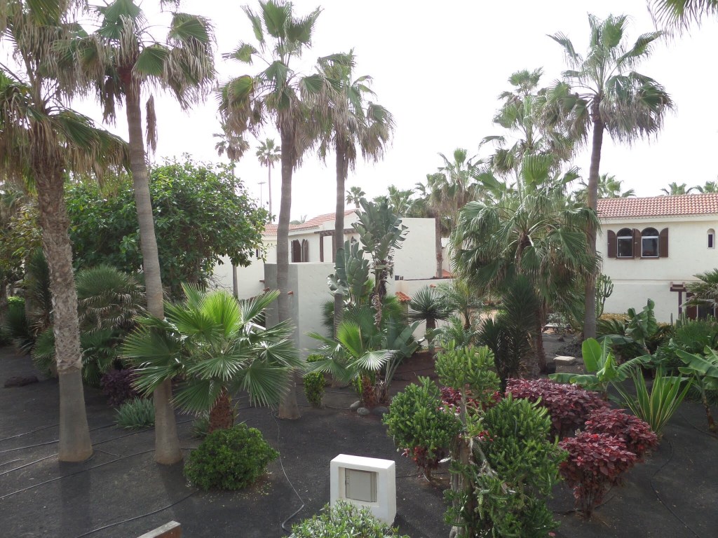 Castillo Beach Resort, Caletta de Fusta 