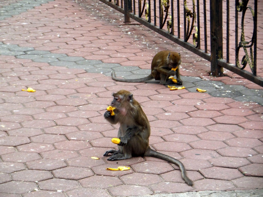 Batu Caves, Kuala Lumpur