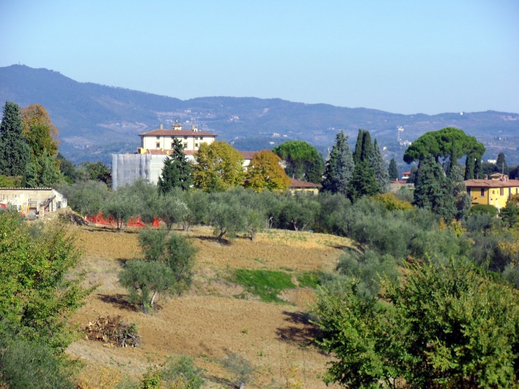 A hilltop view of Florence