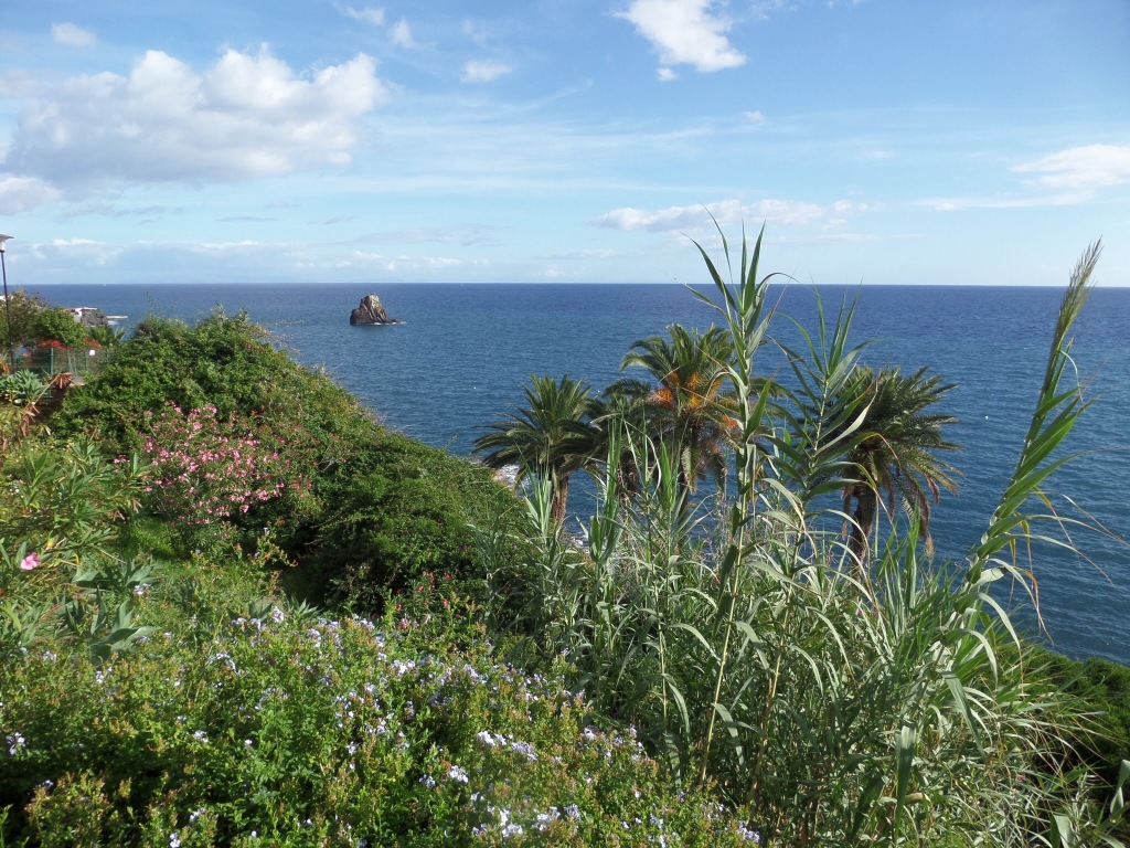 Funchal Coastal path
