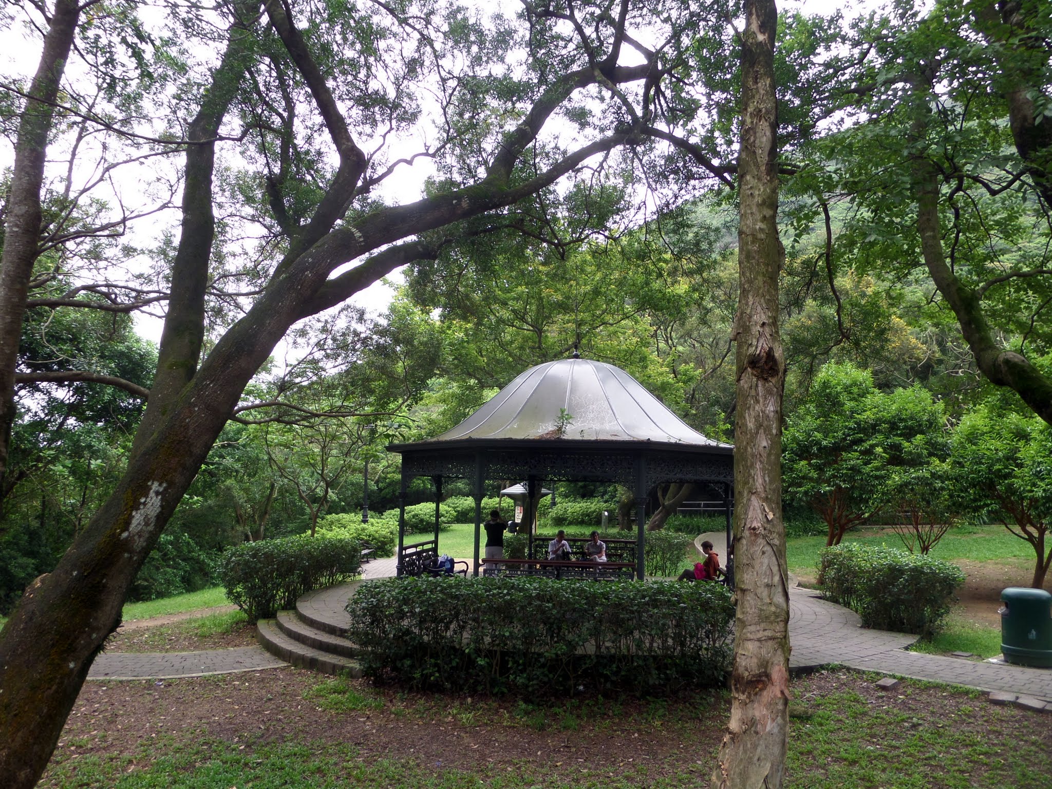 Morning Trail, The Peak, Hong Kong