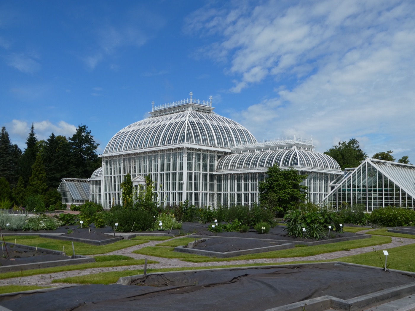 The Palm House, Helsinki