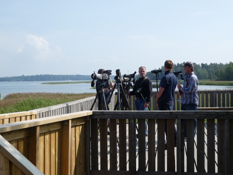 Maarinlahti Bird Watching Tower, Espoo, Finland