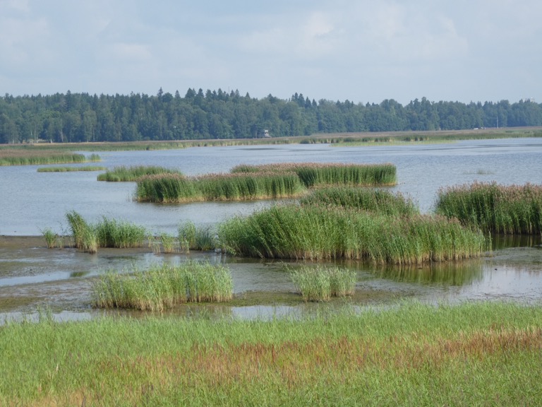 Laajalahti Nature Reserve, Espoo, Finland 