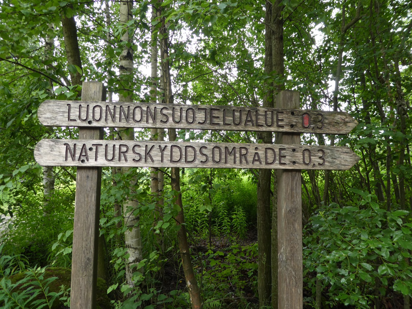 Pornaistenniemi nature walk, Helsinki 
