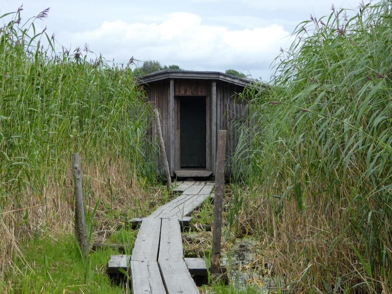 Pornaistenniemi nature walk, Helsinki 