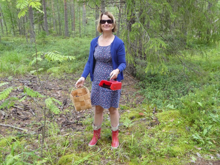 Mushroom picking, Finland 
