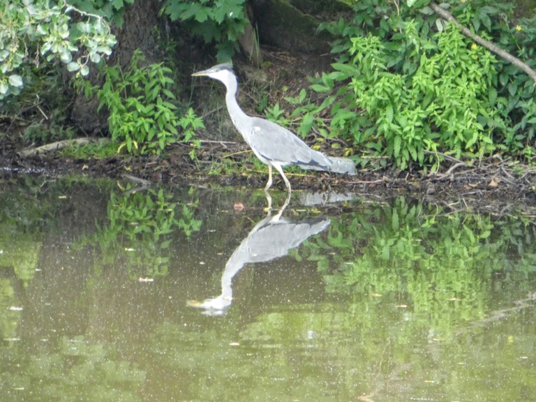 Seurasaari Island, Helsinki 