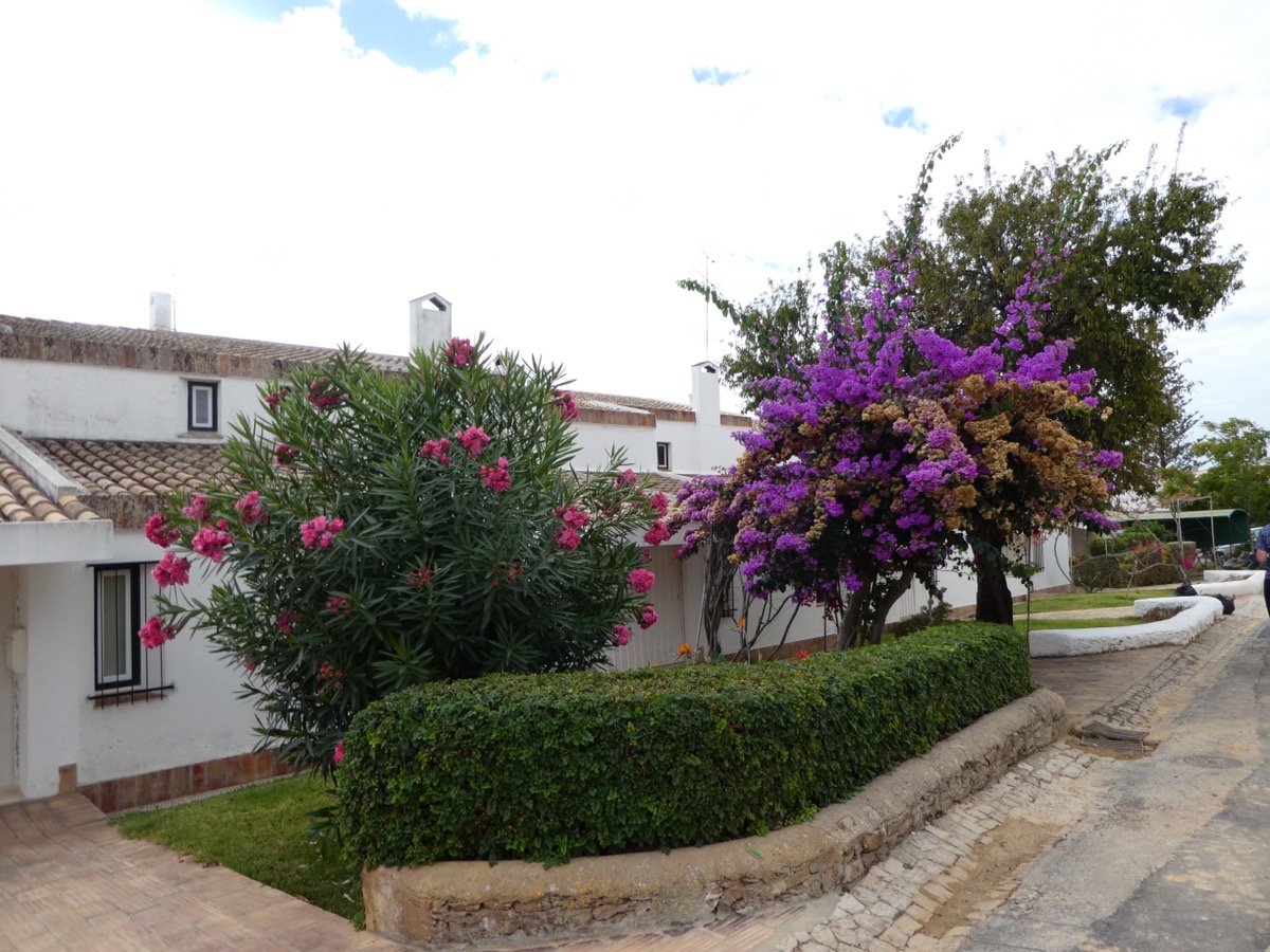Praia da Luz, Algarve 