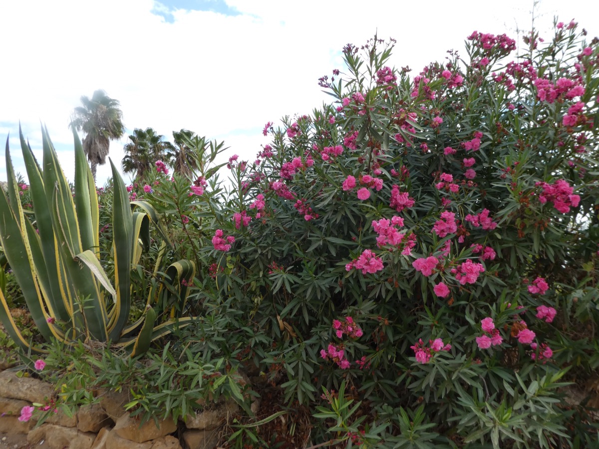 Praia da Luz, Algarve 