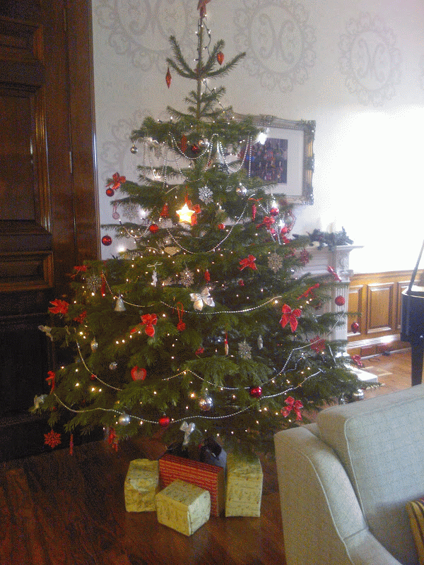 Christmas decorations in Edinburgh