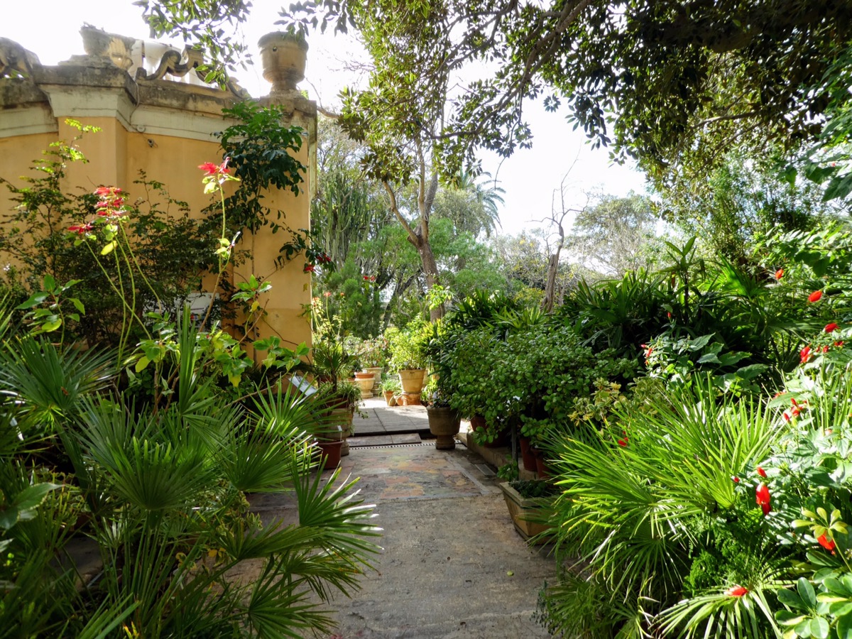 Argotti Botanical Gardens, Valletta 