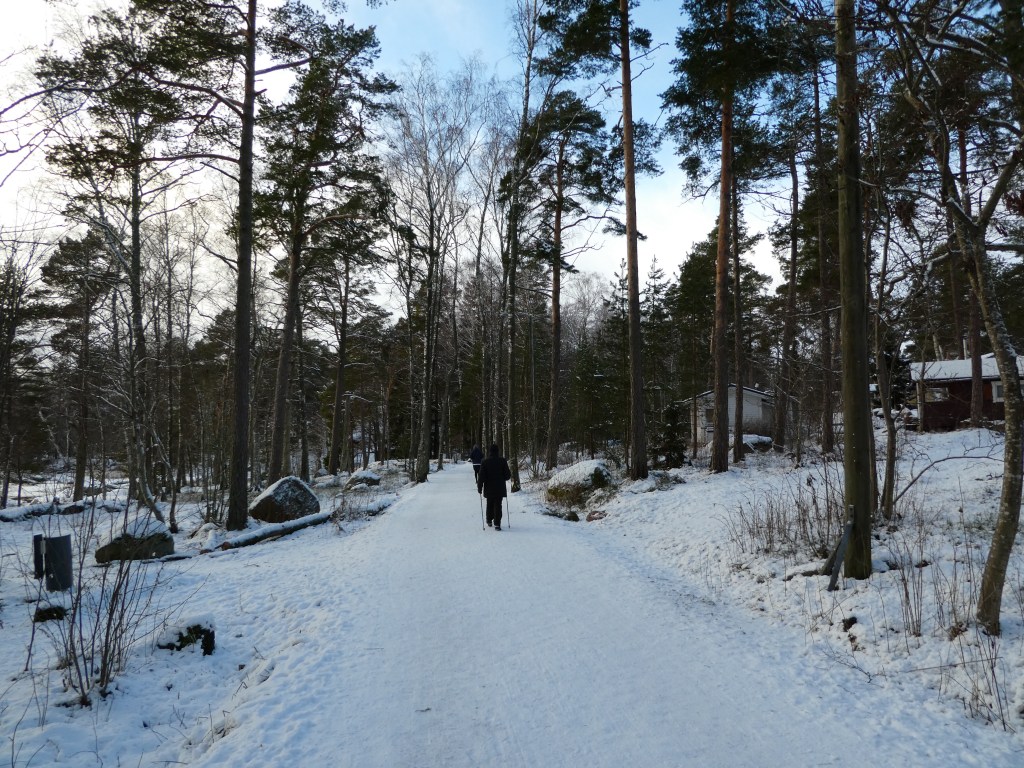 Espoo snow covered trail