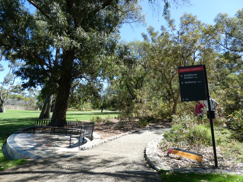Exploring Kings Park, Perth