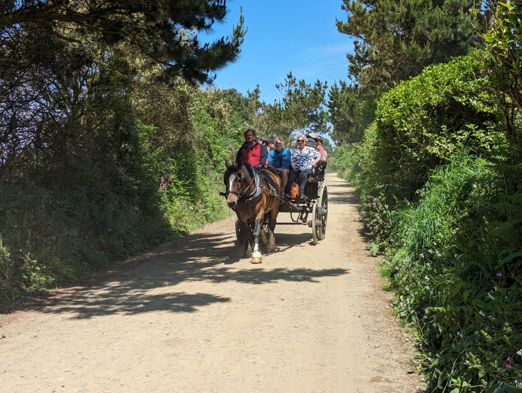 Horse and Carriage, Sark