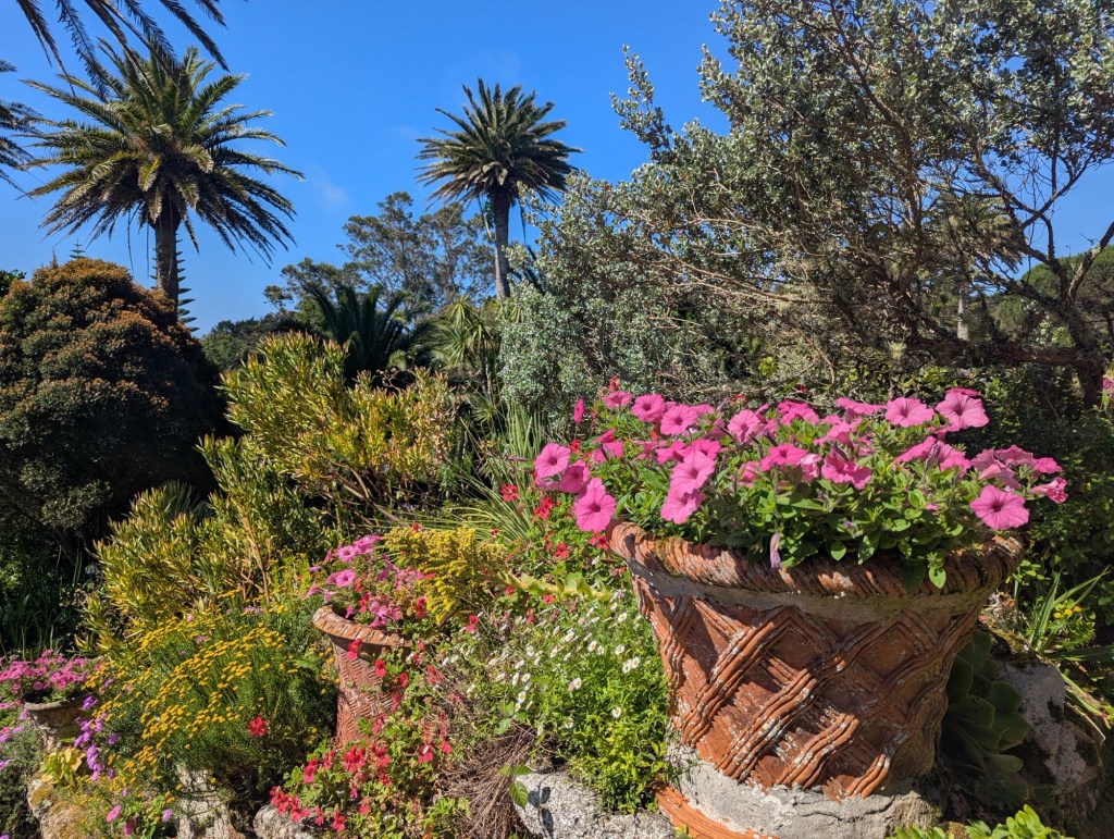 Abbey Garden on Tresco
